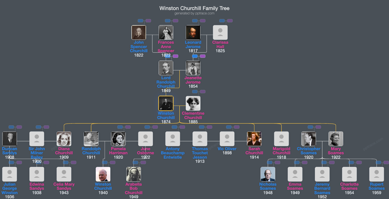 Winston Churchill family tree overview
