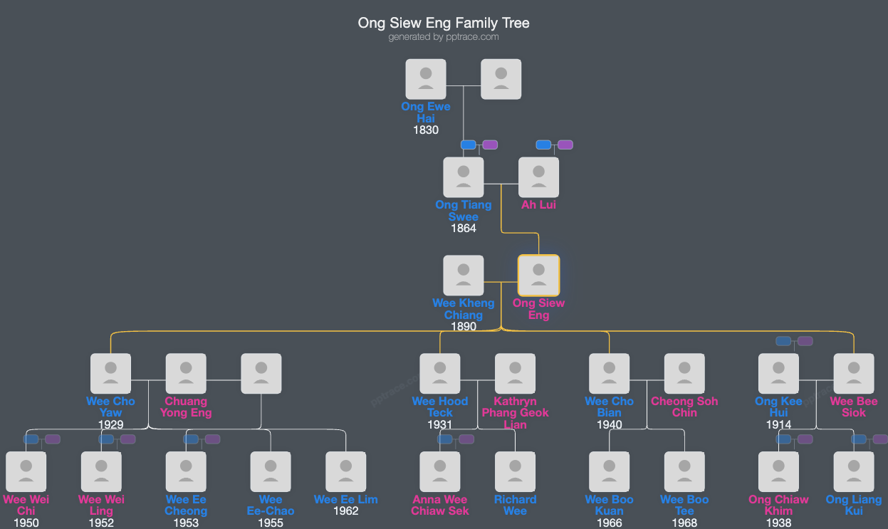Ong Siew Eng family tree overview