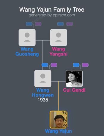 Wang Yajun family tree overview