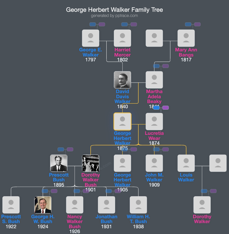 George Herbert Walker family tree overview