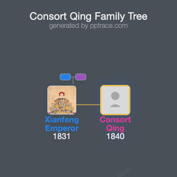 Consort Qing family tree overview