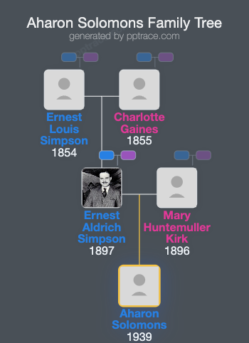 Aharon Solomons family tree overview