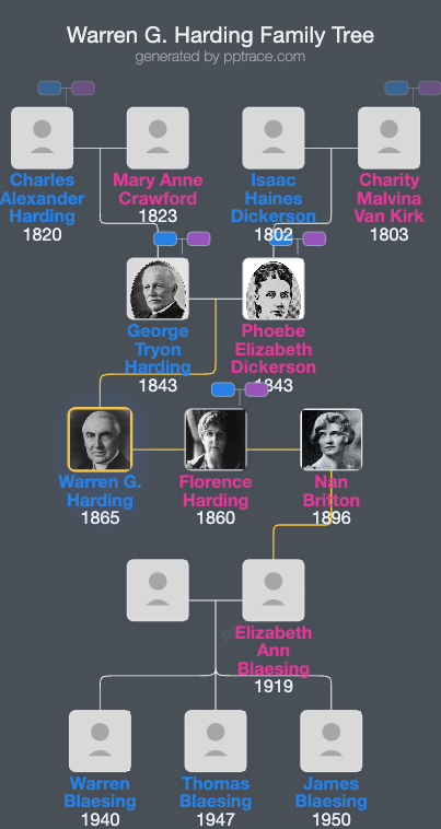 Warren G. Harding family tree overview