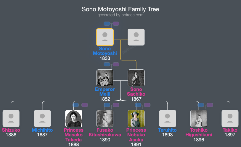 Sono Motoyoshi family tree overview