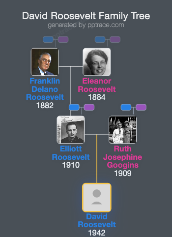 David Roosevelt family tree overview