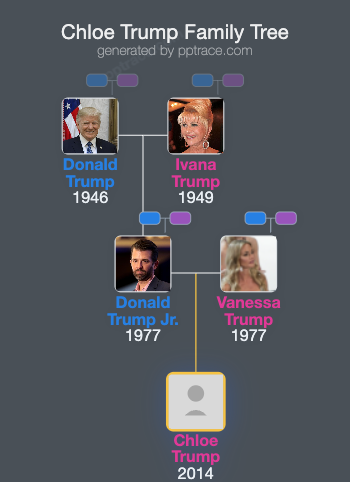 Chloe Trump family tree overview