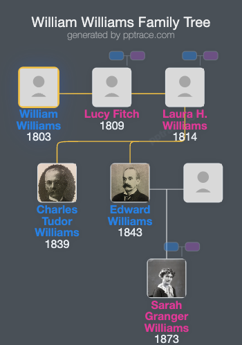 William Williams family tree overview