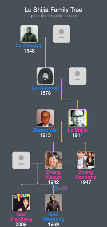 Lu Shijia family tree overview