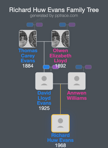 Richard Huw Evans family tree overview