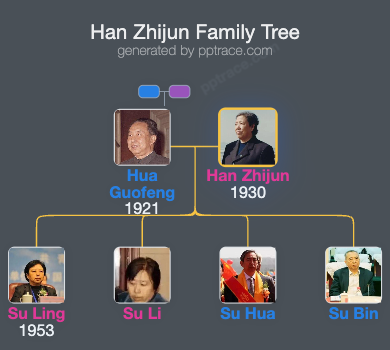 Han Zhijun family tree overview