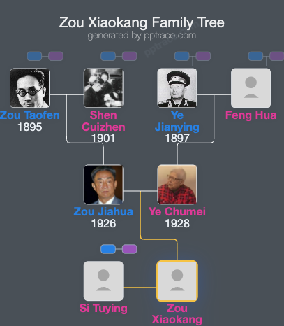 Zou Xiaokang family tree overview
