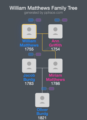 William Matthews family tree overview