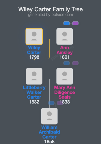 Wiley Carter family tree overview
