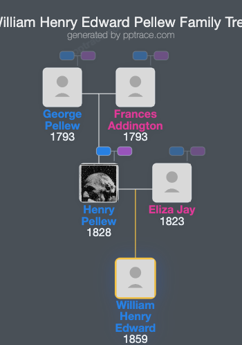William Henry Edward Pellew family tree overview