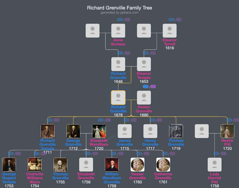 Richard Grenville family tree overview