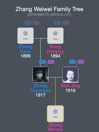 Zhang Weiwei family tree overview