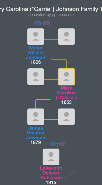 Mary Carolina ("Carrie") Johnson family tree overview