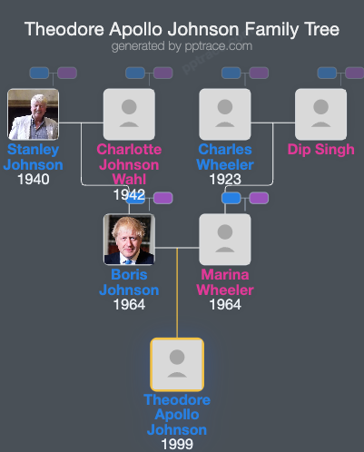 Theodore Apollo Johnson family tree overview