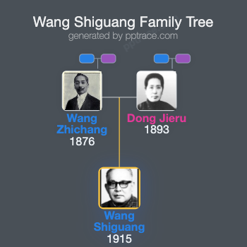 Wang Shiguang family tree overview