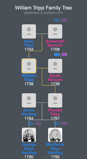 William Tripp family tree overview