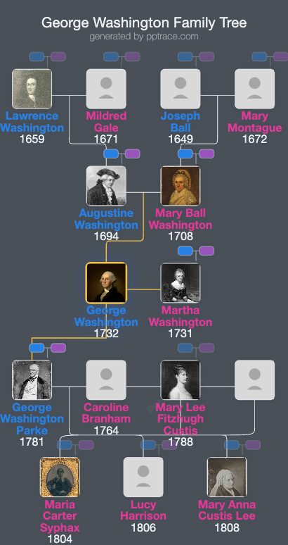 George Washington family tree overview