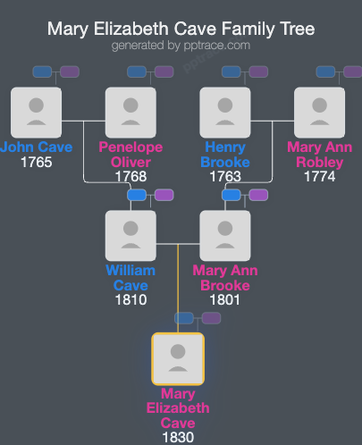 Mary Elizabeth Cave family tree overview