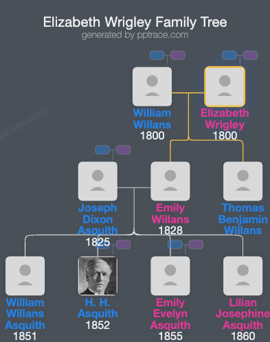 Elizabeth Wrigley family tree overview