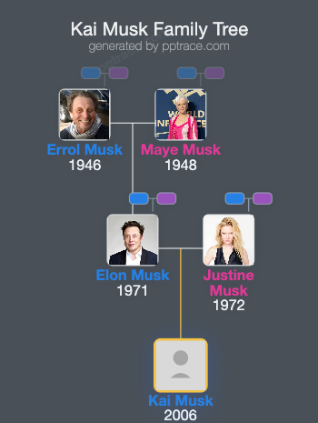 Kai Musk family tree overview