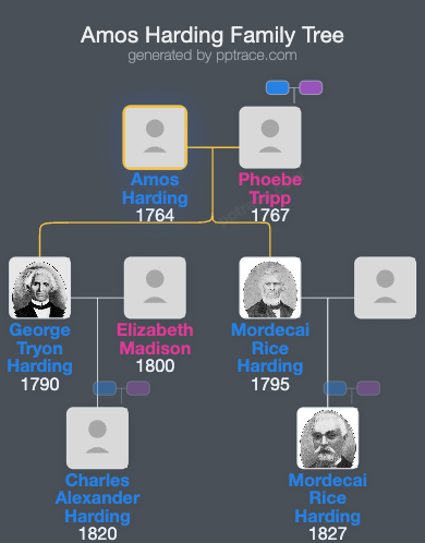 Amos Harding family tree overview