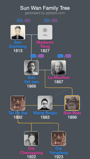 Sun Wan family tree overview