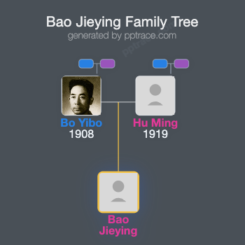 Bao Jieying family tree overview