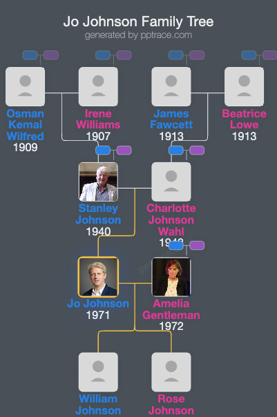 Jo Johnson family tree overview