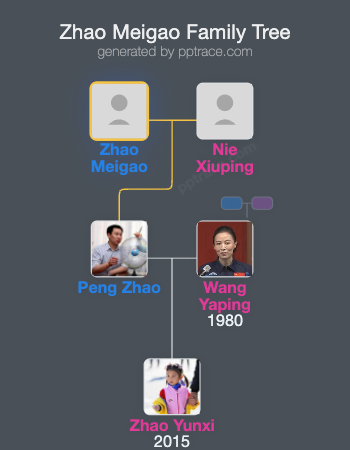 Zhao Meigao family tree overview