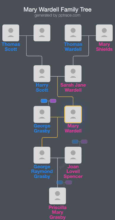 Mary Wardell family tree overview