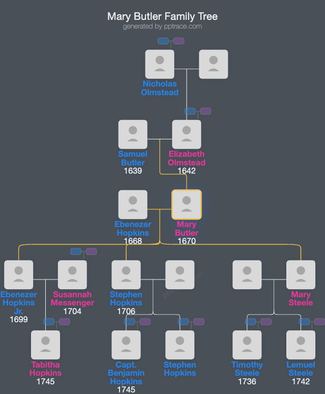 Mary Butler family tree overview