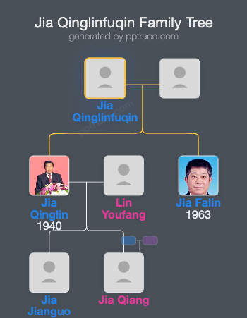 Jia Qinglinfuqin family tree overview