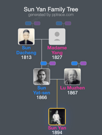 Sun Yan family tree overview