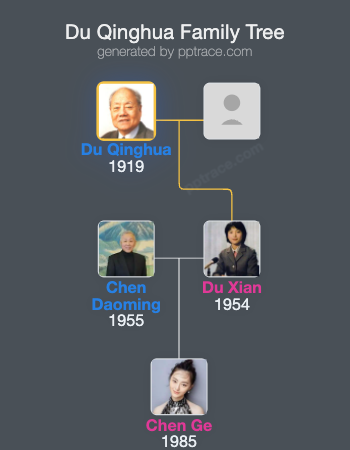 Du Qinghua family tree overview