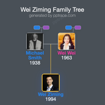 Wei Ziming family tree overview