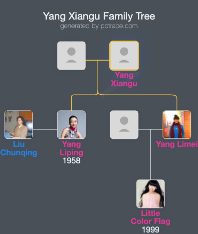 Yang Xiangu family tree overview