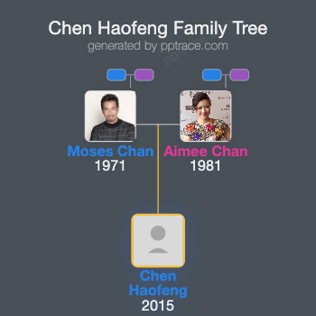 Chen Haofeng family tree overview