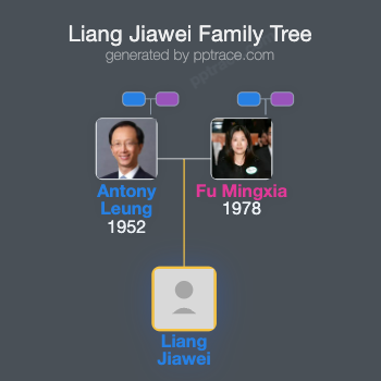 Liang Jiawei family tree overview