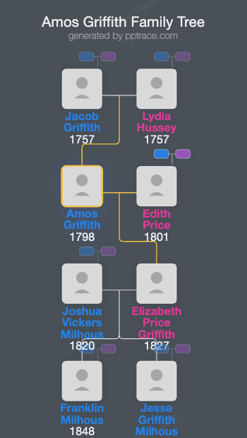 Amos Griffith family tree overview
