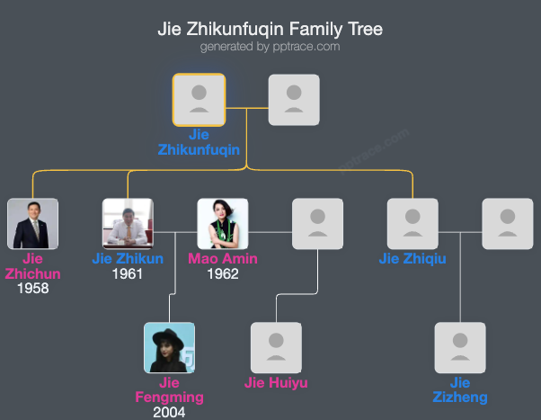 Jie Zhikunfuqin family tree overview