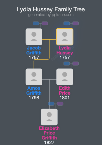 Lydia Hussey family tree overview