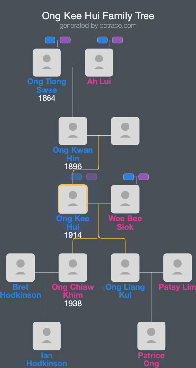 Ong Kee Hui family tree overview