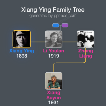 Xiang Ying family tree overview