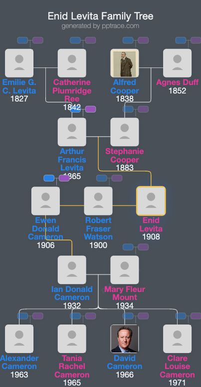 Enid Levita family tree overview