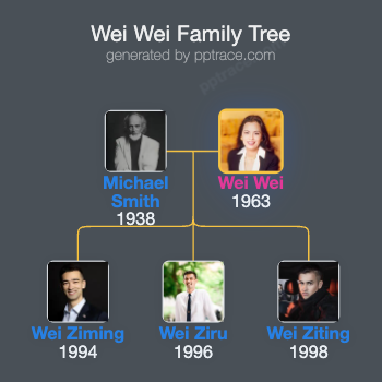 Wei Wei family tree overview