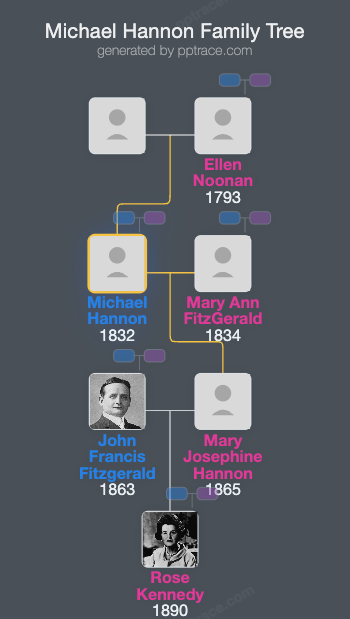 Michael Hannon family tree overview